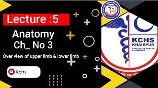 Over view of upper limb amp lower limb  Anatomy  kCHS HSP [upl. by Hazeefah]