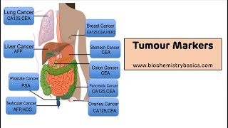 Tumour Markers  Tumour Markers Biochemistry [upl. by Aiekat]