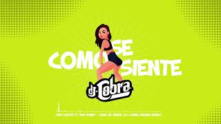 Como Se Siente  Jhay Cortez ft Bad Bunny amp DJ Cobra PERREO REMIX [upl. by Juline]