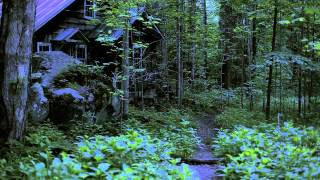 Synchronous Fireflies Elkmont Tennessee [upl. by Hooge]