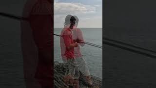 wrasse fishing at West Wales shorts wrasse beachfishing fish fishing shorefishinguk [upl. by Hawk]