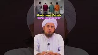 Khade Hokar Peshab Karna Jaiz Haishorts islamicscholar [upl. by Enautna]