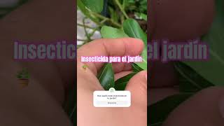 INSECTICIDA PROGARDEN H24 PARA JARDIN [upl. by Nosremaj]