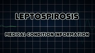 Leptospirosis Medical Condition [upl. by Nuaj]