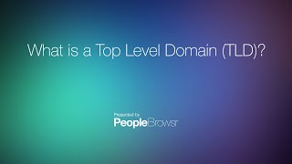 What is a Top Level Domain TLD [upl. by Sihonn]