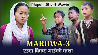 MARUWA 3 nepali short movie 2023  मरुवा ३  new nepali film 2079 [upl. by Nytsirt]