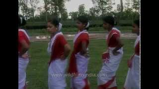 Jhumur dance traditional folk dance of Teagarden tribes of Assam [upl. by Prud]