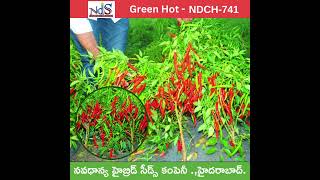 Navadhanya Hybrid Seeds Company guntur agriculture hybridcrops seedcompany [upl. by Attayek]