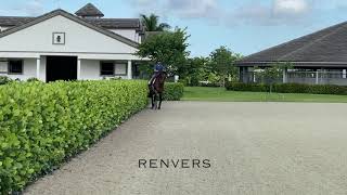 At Home with Glenbeigh Farm  Travers amp Renvers  Show Jumping Training Tips [upl. by Jannery]