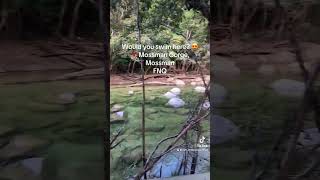 Visit Mossman Gorge fnq waterfall mossman mossmangorge [upl. by Otrebogad]