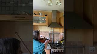 Fairytale Alexander rybak violin cover [upl. by Elfreda]