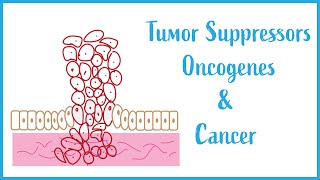 Tumor suppressors Oncogenes and Cancer Biology USMLE Essentials [upl. by Sihon978]