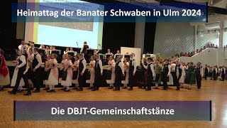 Heimattag der Banater Schwaben 2024 in Ulm  die DBJTGemeinschaftstänze [upl. by Onivag]