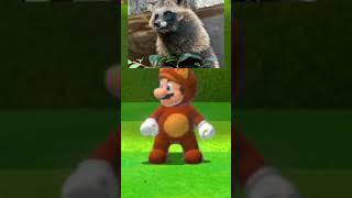 Tanooki Mario IS NOT Raccoon Mario nintendo mario gaming supermario [upl. by Arodasi]