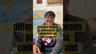 difference between parenchyma collenchyma and sclerenchymashortvideo [upl. by Itch]