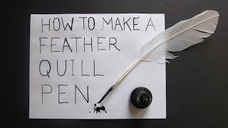 How to make a feather quill pen [upl. by Godding232]