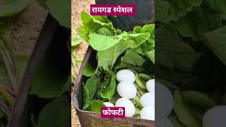 पोपटी popti kokan koli marathi agrikoli raigad food trending viral shetkari mumbai [upl. by Noelc423]