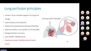 Lecture 10 Lung ventilation and perfusion [upl. by Miguela]