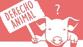 ¿Los animales tienen derechos [upl. by Nashbar]