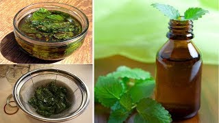 How to make Peppermint Oil at Home and Benefits  Very Easy [upl. by Ransell]