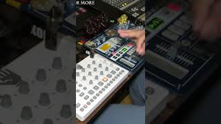 Creating with the Elektron Model Samples and Korg EMX1 shorts dawless [upl. by Harac234]