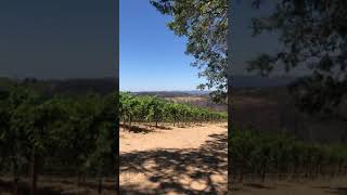 Mayacamas Vineyard Tour [upl. by Bertina470]