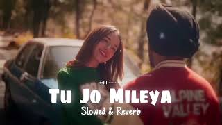 TU JO MILEYA SLOWED ampREVERB first song [upl. by Davy]