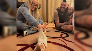 Dominik Mysterio amp Liv Morgan playing with their first baby cat Saudi together backstage on WWE RAW [upl. by Nosyd]