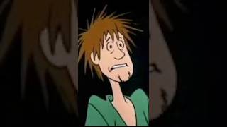 Zoinks Shaggy’s reaction to my sketches scoobydoo funny [upl. by Wyne535]