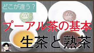 プーアル茶の基本、生茶と熟茶はどう違う？製法と味の違いを徹底解説！ [upl. by Andel]