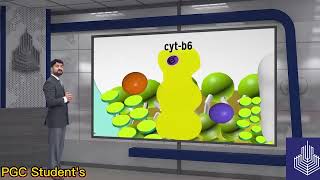 1 YEAR BIOLOGYCHAPTER 11 LEC9 PHOSPHORYLATIONCHEMIOSMOSIS [upl. by Violette]