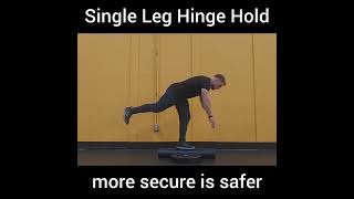 Single Leg Hinge Hold Secured Roller [upl. by Yoshi]