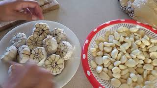 10lb garlic peel garlic  peeling easy way  follow  cooking with sadia  youtube [upl. by Chrissy]