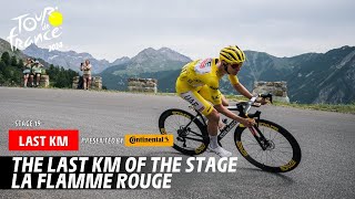 Last Km  Stage 19  Tour de France 2024 [upl. by Oibirot]