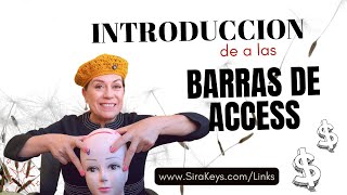 INTRODUCCION a las barras de access [upl. by Irej789]