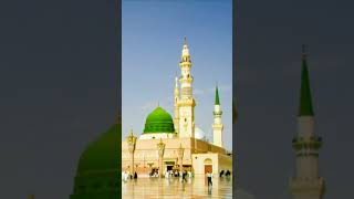 masjidnabawiﷺ 💓shortvideo myyoutubechannel👈 islamicshort ytshorts😱 subscribe islamicshort 🤲 [upl. by Leiba]