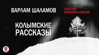 В ШАЛАМОВ «КОЛЫМСКИЕ РАССКАЗЫ» Аудиокнига Читает Вениамин Смехов [upl. by Abe]