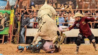 Los Mejores Quites Del Mejor torero en USA Sasquatch [upl. by Ninnette]