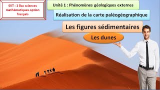 Les figures sédimentaires les dunes  svt 1 bac sciences mathématiques option français [upl. by Bodi]