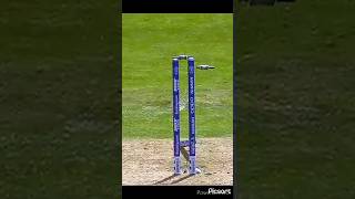 Top 10 Yorker of cricket history best Yorker shorts video cricket lover [upl. by Ivan]