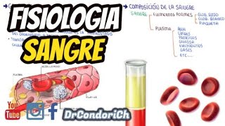 Fisiologia de la sangre composicion de la sangre Facil y sencillo [upl. by Nnylarac]