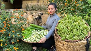 FULL VIDEO 40 days of harvesting white radish zucchini and papaya flowers to sell at the market [upl. by Dickie]