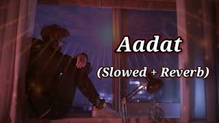 Aadat lofi song Slowed Reverb  Kalyug Movie [upl. by Jary]