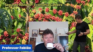 Segundo Reinado  Economia Cafeeira  Barão de Mauá [upl. by Aekal]