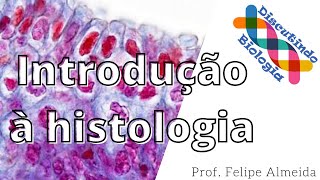 Introdução à histologia  Prof Felipe [upl. by Aifas384]