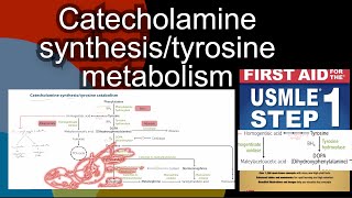 Phenylketonuria  phenylalanine embryopathy in HindiUrdu by first aid for USMLE step 1 [upl. by Dorree]