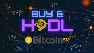 Bitcoin Satoshis Vision BSV  Where To Buy Where Store amp Some Key Facts Surrounding The Project [upl. by Merridie]