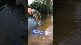 Creek fishing for bluegill and bass 💪🏽🎣🎣 viralvideo fishing fishingvideo shorts [upl. by Nnaesor254]