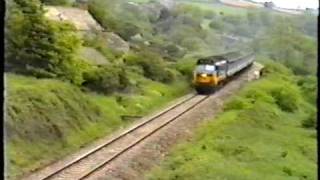 50017 climbs Honiton bank at Willmington Farm [upl. by Manley]