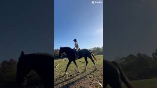 I missed riding in just my half pad [upl. by Suravaj]